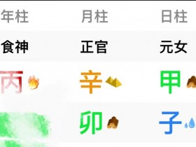 不解：为什么我的八字里有卯，出车祸的却是我老公呢？